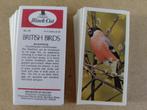 British Birds complete set 50 chromos vogels 1976 Carreras, Verzamelen, Foto's en Prenten, Ophalen of Verzenden, 1960 tot 1980