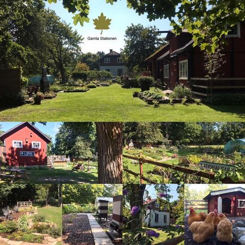 Woning, evt bedrijf, 2 vakantiewoningen en meer Öland Zweden, Immo, Buitenland, Overig Europa, Woonhuis, Dorp