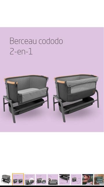 Cododo beschikbaar voor biedingen
