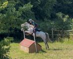 All around c pony, Dieren en Toebehoren, Ruin