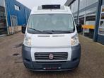 Fiat Ducato 2.3 JTD 130 Multijet Koelwagen Carrier Xarios 20, Autos, Euro 5, Achat, Entreprise, 131 ch