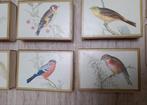 Lot de 10 boîtes d´allumettes dessins d'oiseaux, Utilisé, Enlèvement ou Envoi