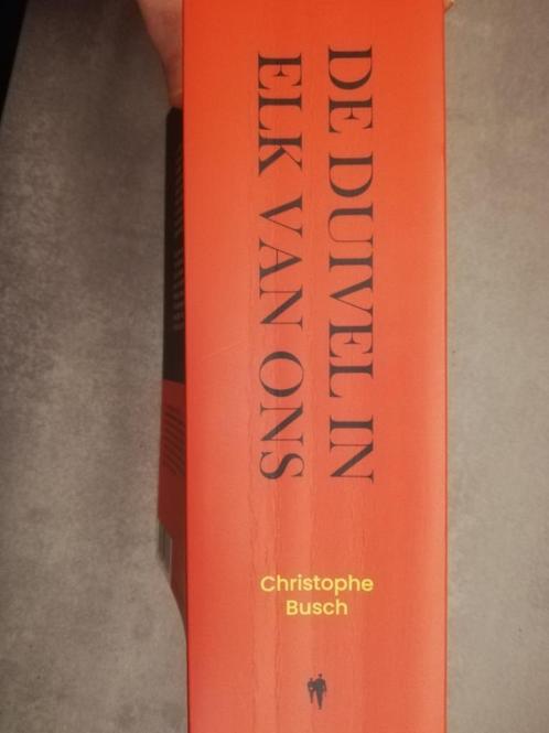 De Duivel in elk van ons (860 paginas), Boeken, Overige Boeken, Zo goed als nieuw, Ophalen