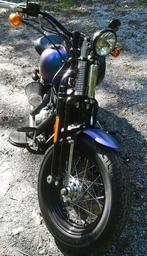 HARLEY-DAVIDSON KRUISBEENDEREN UIT 2010, Motoren, Particulier