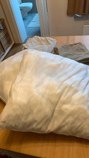 IKEA kussens 50x50 + 4 hoezen beschikbaar voor biedingen