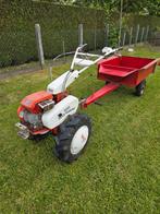 Tuinfrees, Ophalen of Verzenden