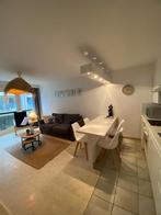 Petit appartement sur la digue de La Panne