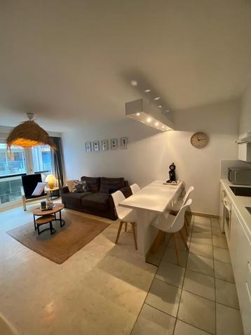 Petit appartement sur la digue de La Panne beschikbaar voor biedingen