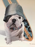 Téo Jasmin bulldog frame, Ophalen, Zo goed als nieuw