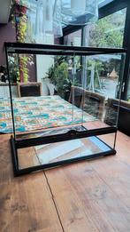 Exo Terra terrarium 60x60x45 en 45x60x45, Dieren en Toebehoren, Ophalen, Zo goed als nieuw