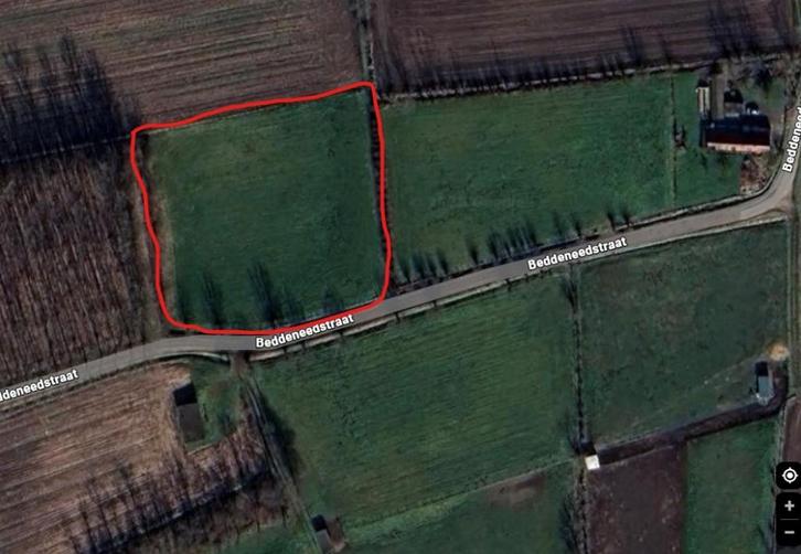 weide te huur in Laarne, Dieren en Toebehoren, Stalling en Weidegang, Weidegang, 2 of 3 paarden of pony's