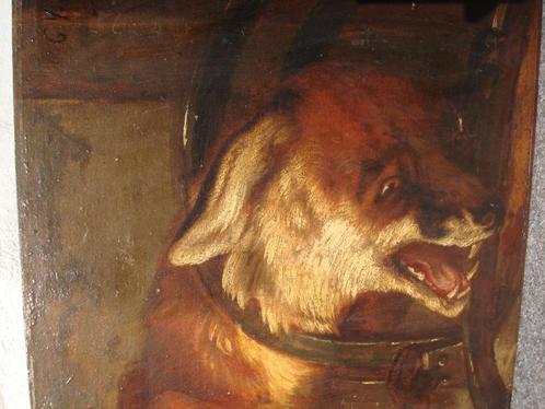 CHARLES VERLAT °1824-90 Antwerpen olieverf/hout vos in klem, Antiek en Kunst, Kunst | Schilderijen | Klassiek, Ophalen