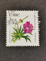 Irlande 2005 - fleurs sauvages - géranium sanguin, Irlande, Affranchi, Enlèvement ou Envoi