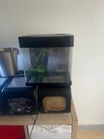 aquariums te koop, Dieren en Toebehoren, Ophalen of Verzenden, Zo goed als nieuw, Leeg aquarium
