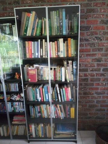 Boekenkast met vitrinedeuren beschikbaar voor biedingen