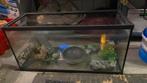 Aquarium met benodigdheden, Dieren en Toebehoren, Ophalen