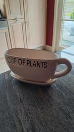 Plantenbak mer oor, Enlèvement