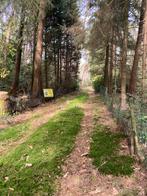 Stuk grond te stekene, Immo, 1000 tot 1500 m²