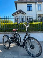 Easy Rider Proxy elektrische driewieler ondersteuning,, Fietsen en Brommers, Ophalen of Verzenden, Zo goed als nieuw