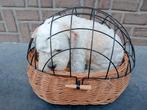 Rieten hondenfietsmand voor honden <10 kg, Fietsen en Brommers, Fietsaccessoires | Fietsmanden, Ophalen, Zo goed als nieuw