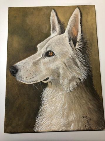 Schilderij Gary Wakeham - Young White German Shepherd beschikbaar voor biedingen