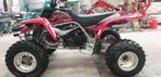 Yamaha 350 banshee  édition falcon .2007., Motoren