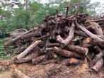 Partij brandhout, 6 m³ of meer, Ophalen, Overige houtsoorten, Stammen