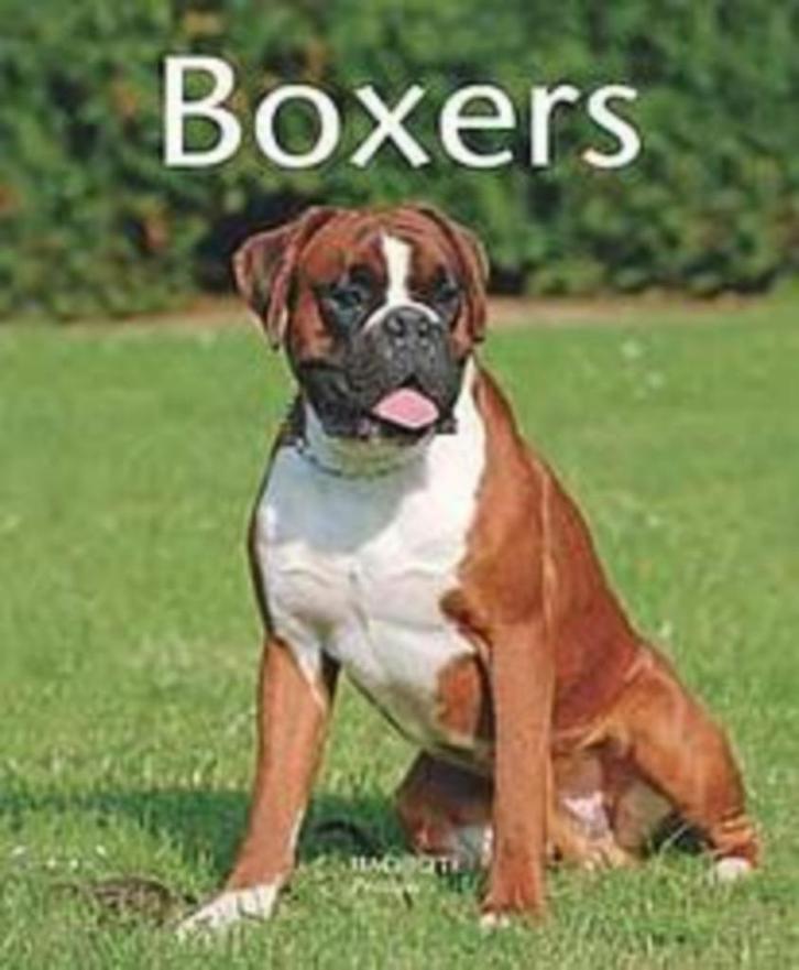 Livre sur le Boxer, Boeken, Dieren en Huisdieren, Nieuw, Honden, Ophalen
