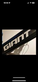 Elecktrische fiets giant talone +2, Immo, Provincie Oost-Vlaanderen