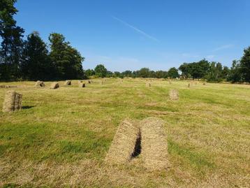 Hooi kleine pakjes, ideaal voor paarden biologisch beschikbaar voor biedingen