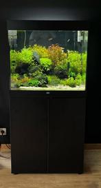 Aquarium Juwel Lido 200 + accessoires et pompe, Dieren en Toebehoren, Vissen | Aquaria en Toebehoren, Zo goed als nieuw