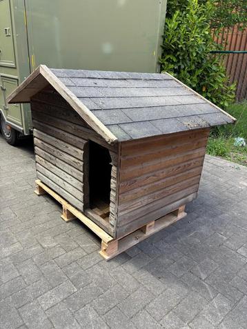 Hondenhok voor grote hond beschikbaar voor biedingen