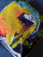 XXL-kooi/voliere papegaai-ara-kaketoe-amazone-roodstaart, Papegaai