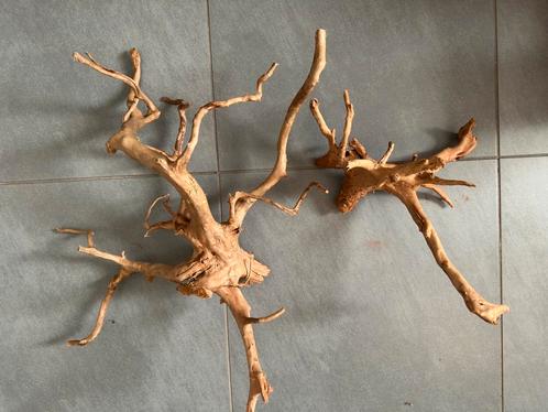 Wortels voor terrarium, Dieren en Toebehoren, Reptielen en Amfibieën | Toebehoren, Zo goed als nieuw, Tak, Plant, Rots of Steen