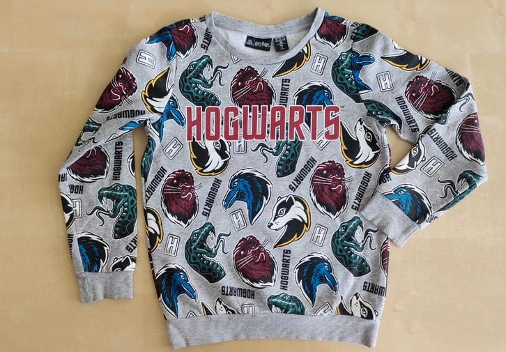 Leuke grijze trui Hogwarts Harry Potter, maat 134, Kinderen en Baby's, Kinderkleding | Maat 134, Zo goed als nieuw, Jongen of Meisje