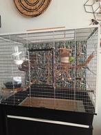 Cage 80 sur 50, Dieren en Toebehoren, Ophalen, Zo goed als nieuw