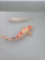 2 japanse kois, Dieren en Toebehoren