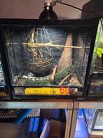 Terrarium habistat  Sans lampe, Enlèvement