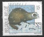 Belgie 1992 - Yvert/OBP 2477 - Bunzing (ST), Verzenden, Gestempeld, Gestempeld