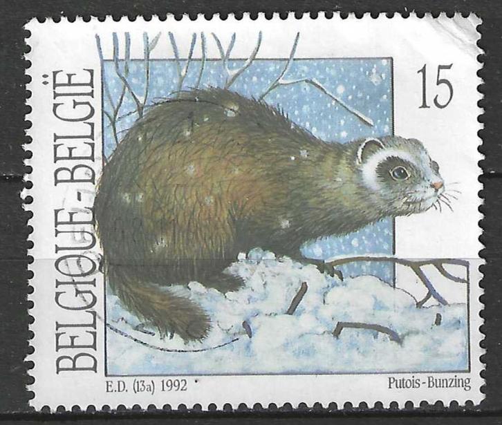 Belgie 1992 - Yvert/OBP 2477 - Bunzing (ST), Postzegels en Munten, Postzegels | Europa | België, Gestempeld, Gestempeld, Verzenden
