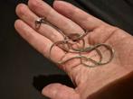 Snake ketting, Handtassen en Accessoires, Kettinghangers, Ophalen, Nieuw