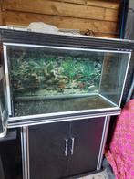 Aquarium 270 liter, Dieren en Toebehoren, Ophalen, Gebruikt, Leeg aquarium