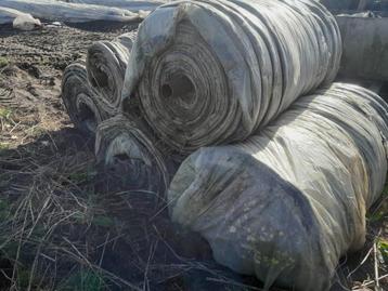 Te koop asperge folie beschikbaar voor biedingen