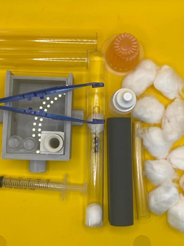 Kit de démarrage Camponotus Herculeanus pour fourmis, Animaux & Accessoires, Insectes & Araignées, Fourmis