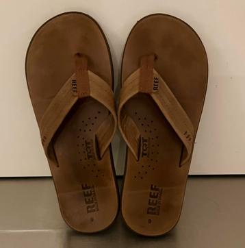 Slipper Reef Draftsmen brons bruin beschikbaar voor biedingen