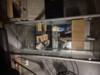 Vitrinekast met houten frame 100€, Ophalen, 50 tot 100 cm, Glas, 150 tot 200 cm