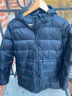 Levi's donsjack, Ophalen, Zwart, Zo goed als nieuw, Maat 34 (XS) of kleiner