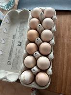 Broedeieren Poule de Bresse, Enlèvement