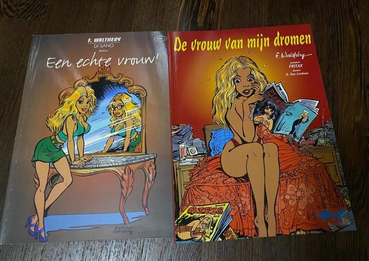 Strips - Walthéry verzameling, Boeken, Stripverhalen, Gelezen, Meerdere stripboeken, Ophalen of Verzenden