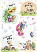 Pimboli - Stickervel Tamara – Generatie 4, Verzamelen, Ophalen of Verzenden, Pimboli, Nieuw, Overige typen